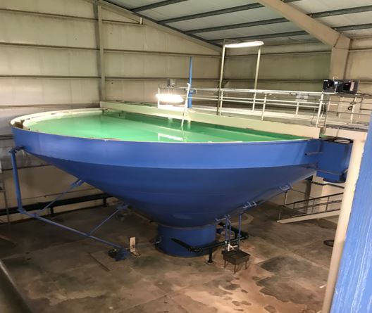 Claricone at Water Plant